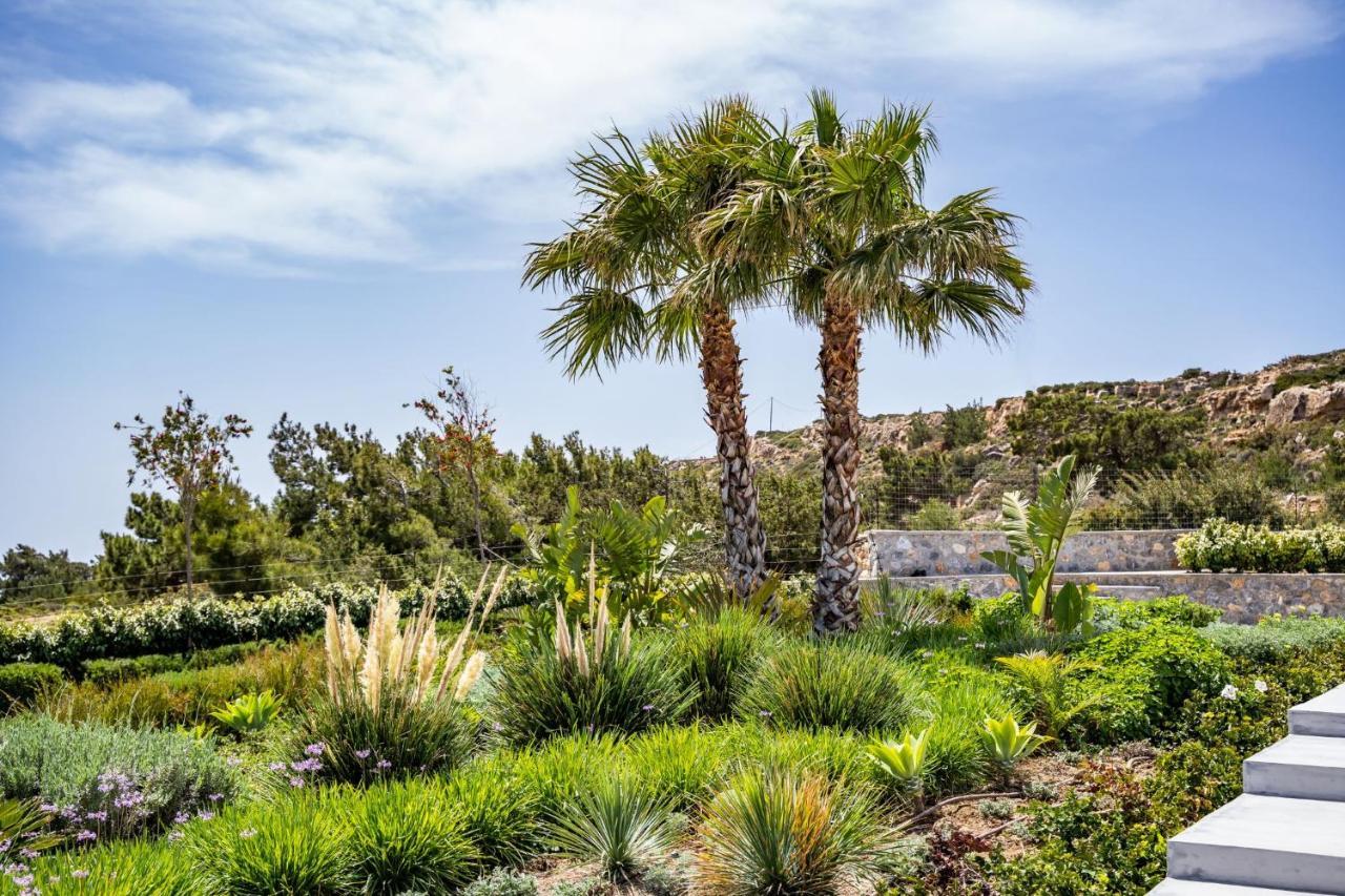 Istia Luxury Villas Karpathos Exteriör bild