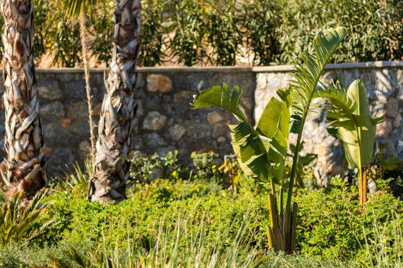 Istia Luxury Villas Karpathos Exteriör bild