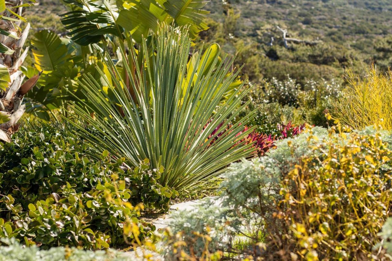 Istia Luxury Villas Karpathos Exteriör bild